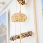 #006 Foxy D By Holidays