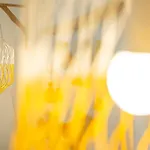 Lägenhet #006 Foxy D By Holidays *