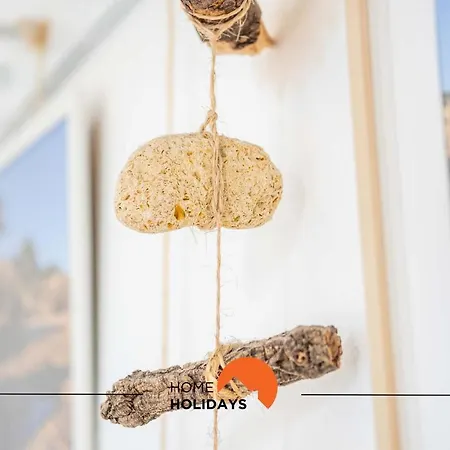 #006 Foxy D By Holidays