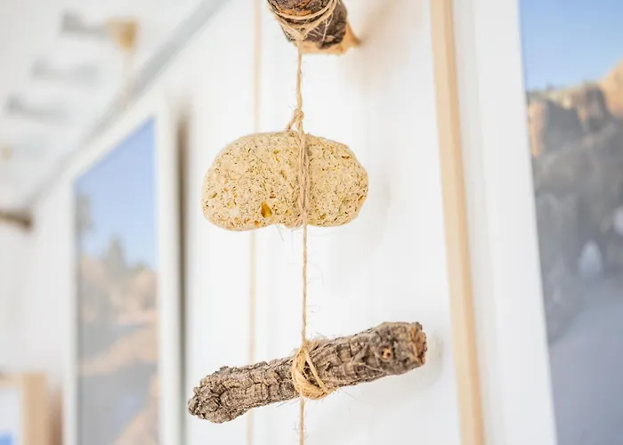 #006 Foxy D By Holidays