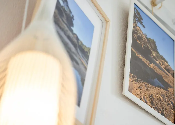 #006 Foxy D By Holidays