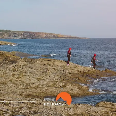 #006 Foxy D By Holidays *